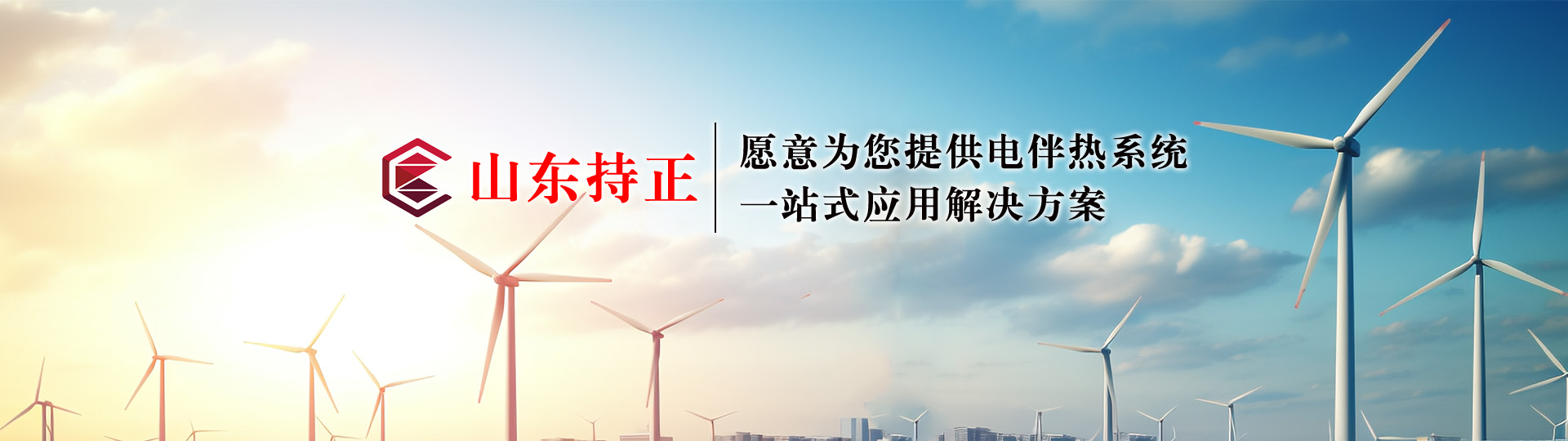 山東持正電氣有限公司